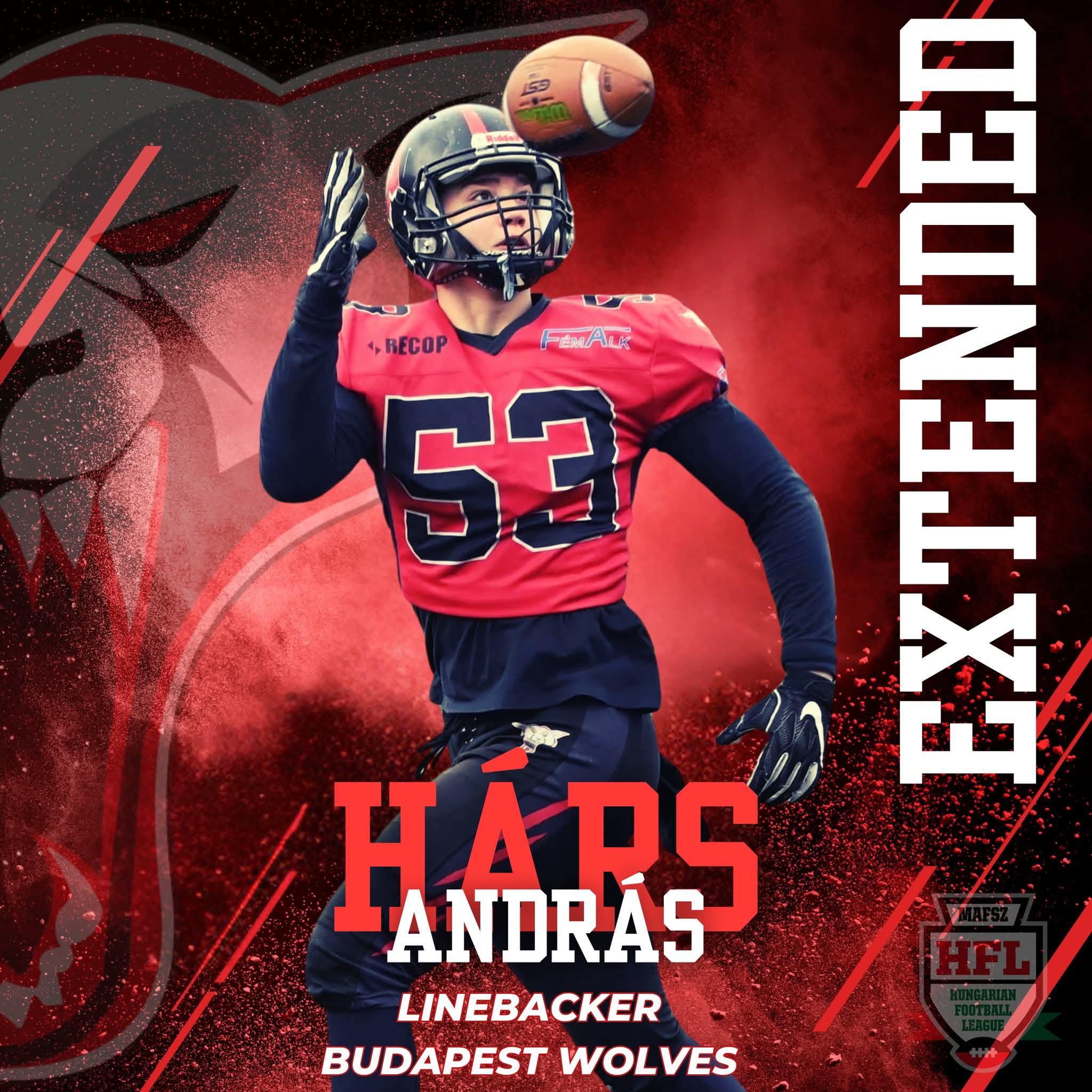 Budapest - Hárs András 2025-ben is a Wolves védelmét erősíti! 🐺 Andris ...