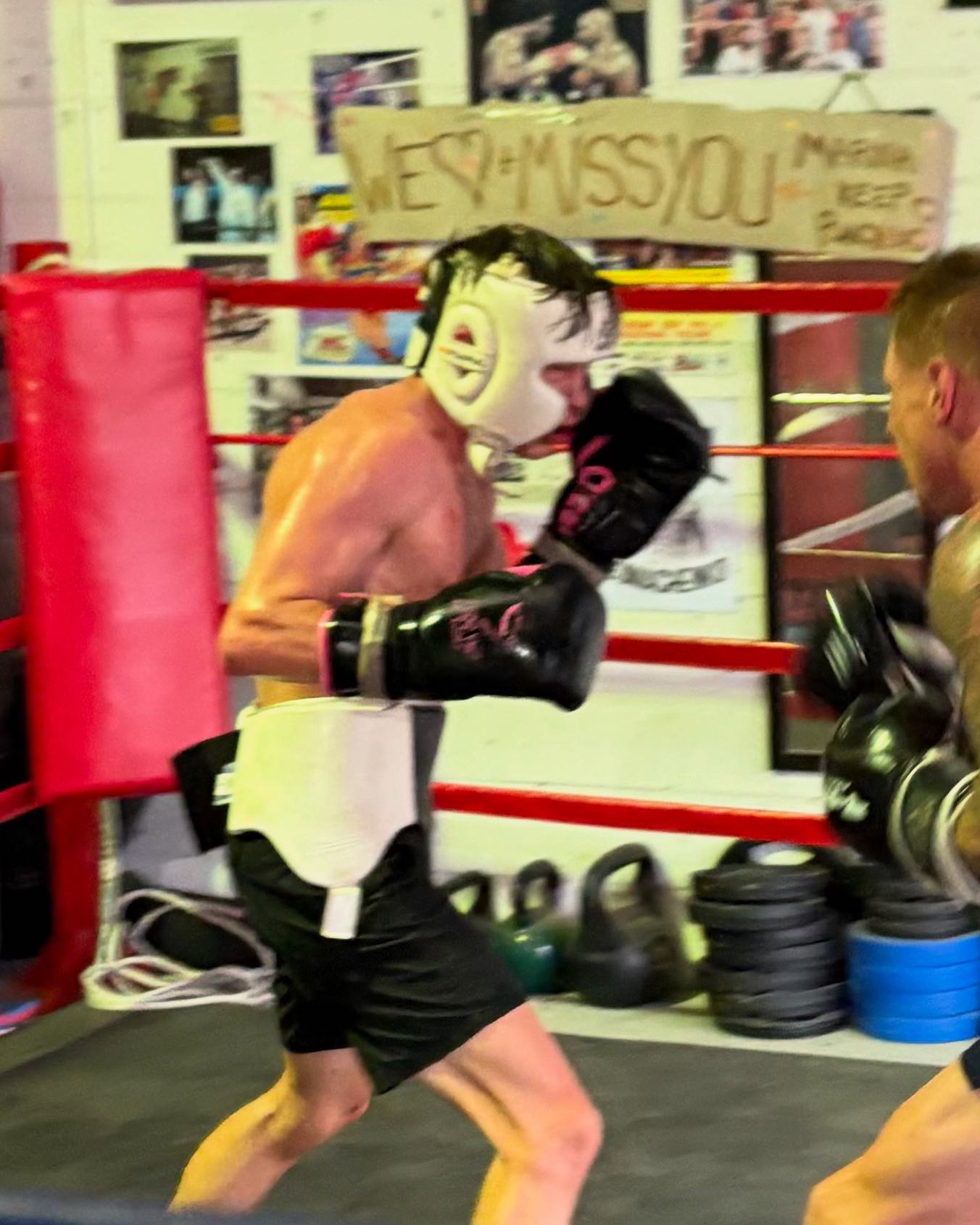 Guy Moon Boxing | Wodonga VIC