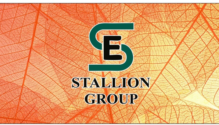 Stallion Group | Allahabad
