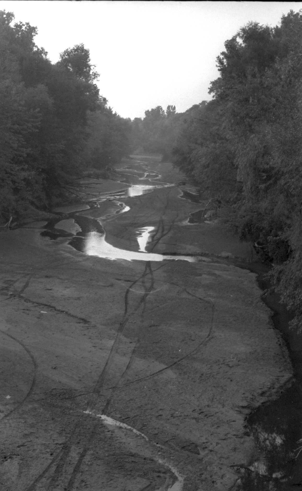 This photo of the Skunk River was... - Ames History Museum | Facebook
