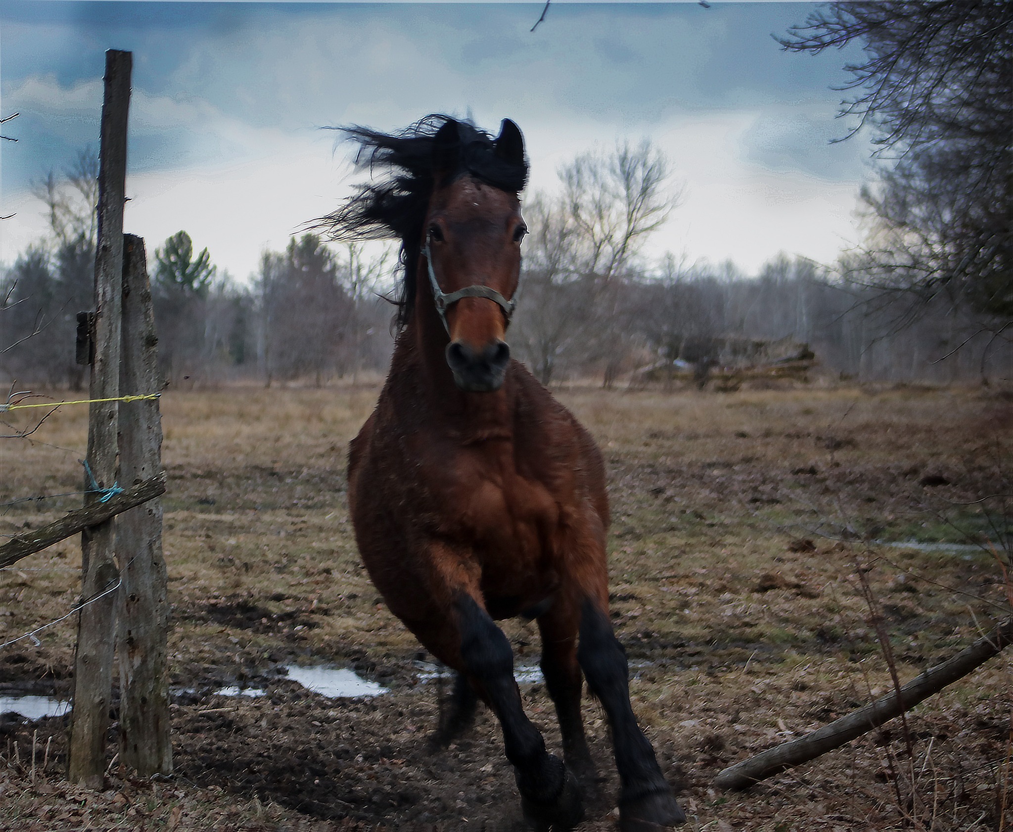 Ranch Robert | Brownsburg QC