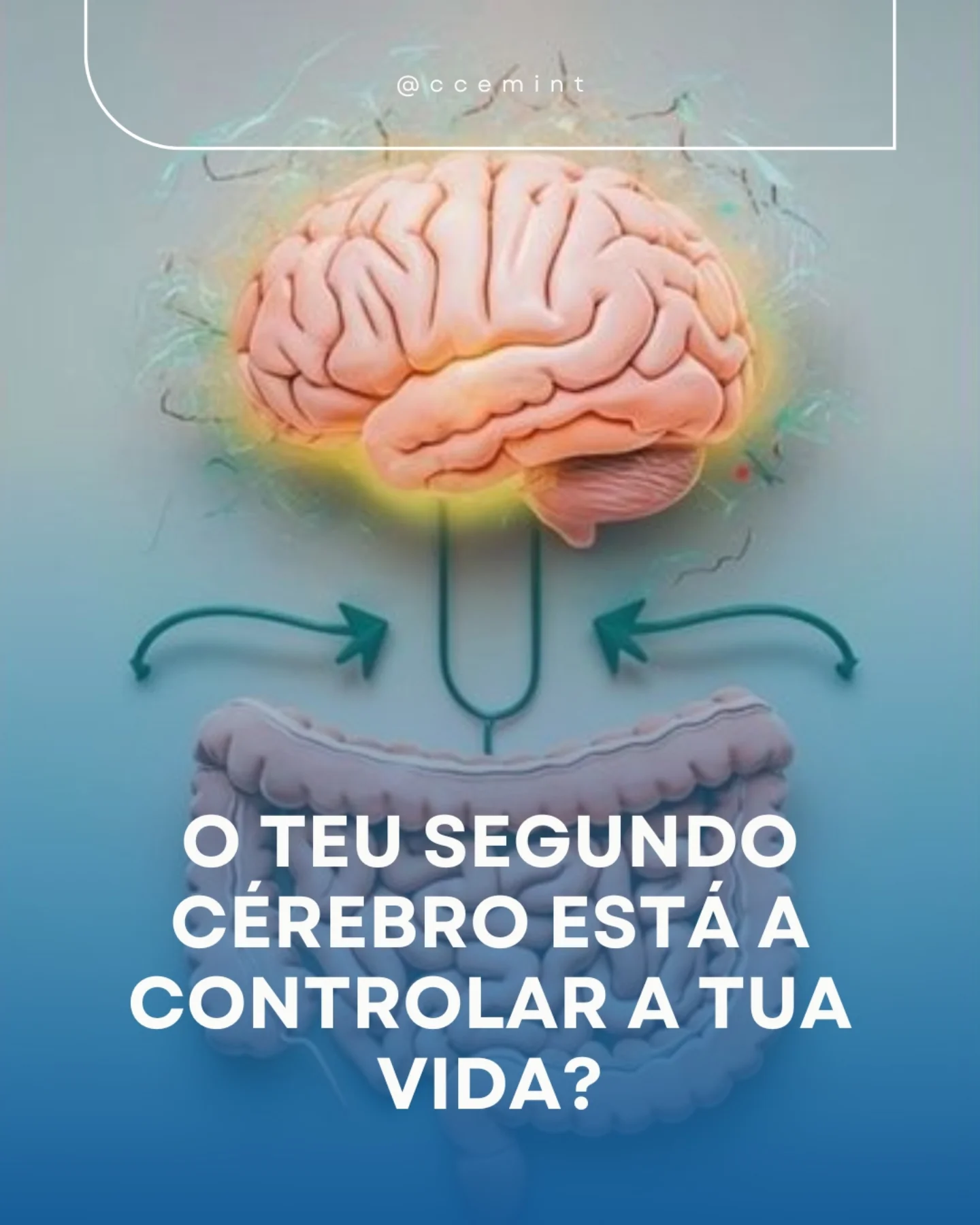 Cemint - Sabias que o teu intestino tem neurónios e produz até 90% da ...