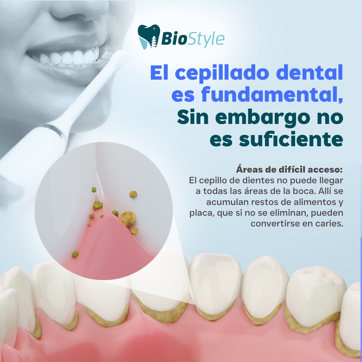 Biostyle | Veracruz