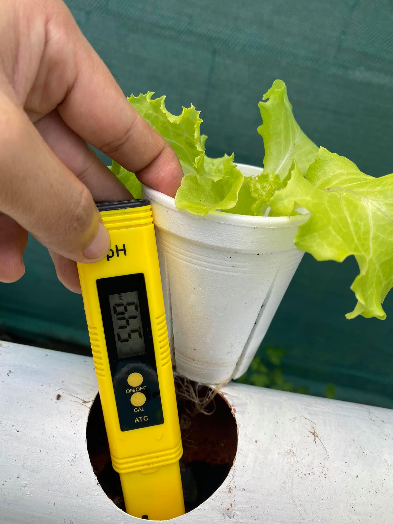 The right pH level is crucial... - Edwin's Hydroponics Garden | Facebook