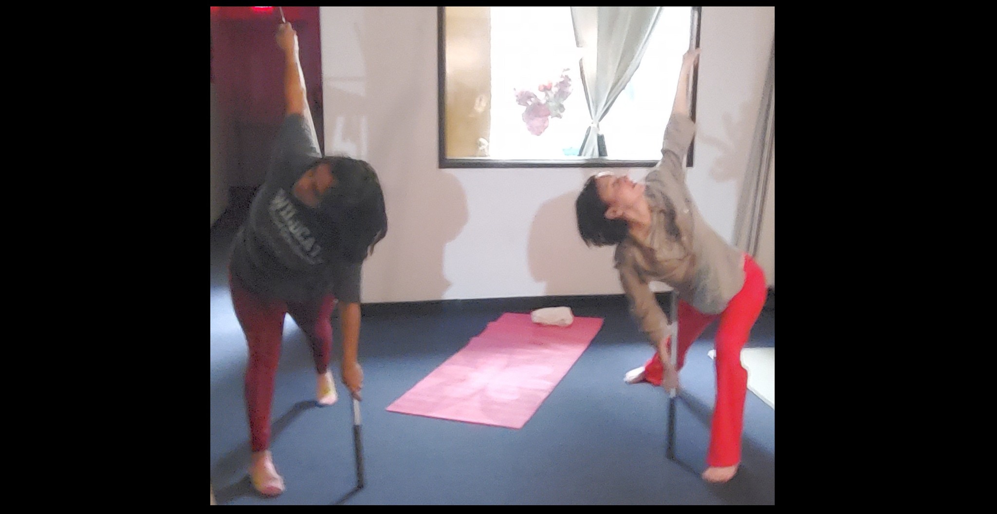 Tao Yoga Body of Steel