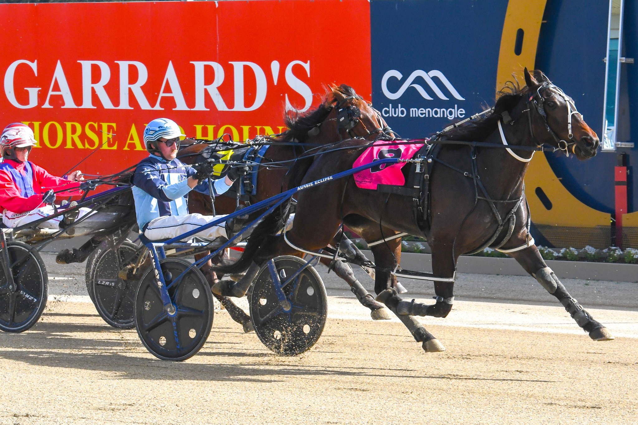 Harness Racing NSW - Interstate success! Well done to NSW team trainer ...