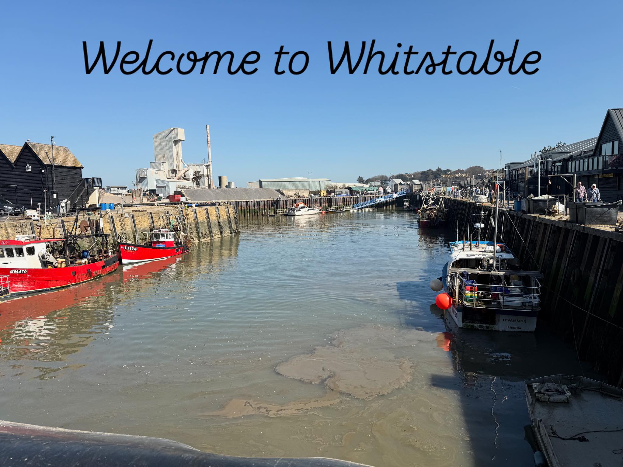 West Whelks Shellfish | Whitstable