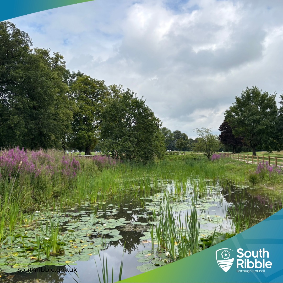 South Ribble Borough... - South Ribble Borough Council
