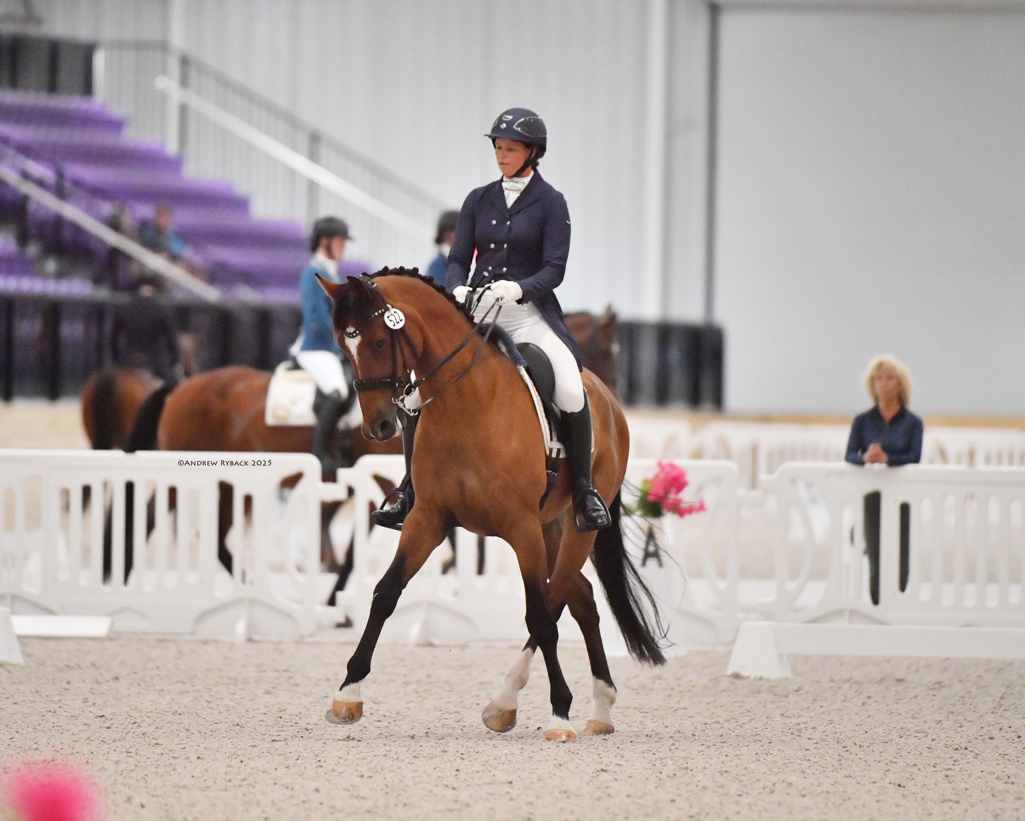 World - Calling all dressage riders! Entries are open through August 11 ...