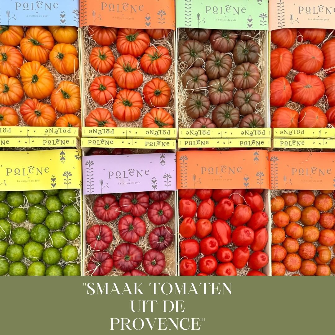 faapie-s-de-smaak-tomaten-uit-de-provence-de