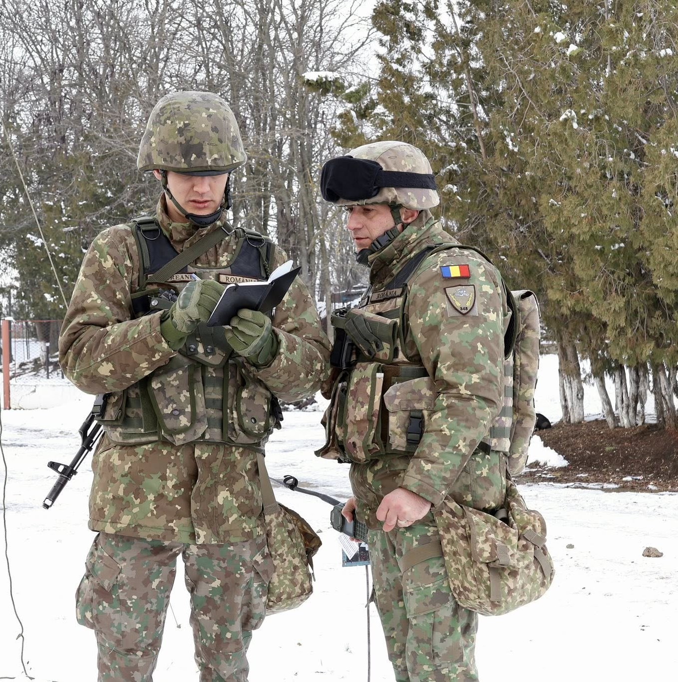 Divizia 2 Infanterie Getica... - Divizia 2 Infanterie Getica