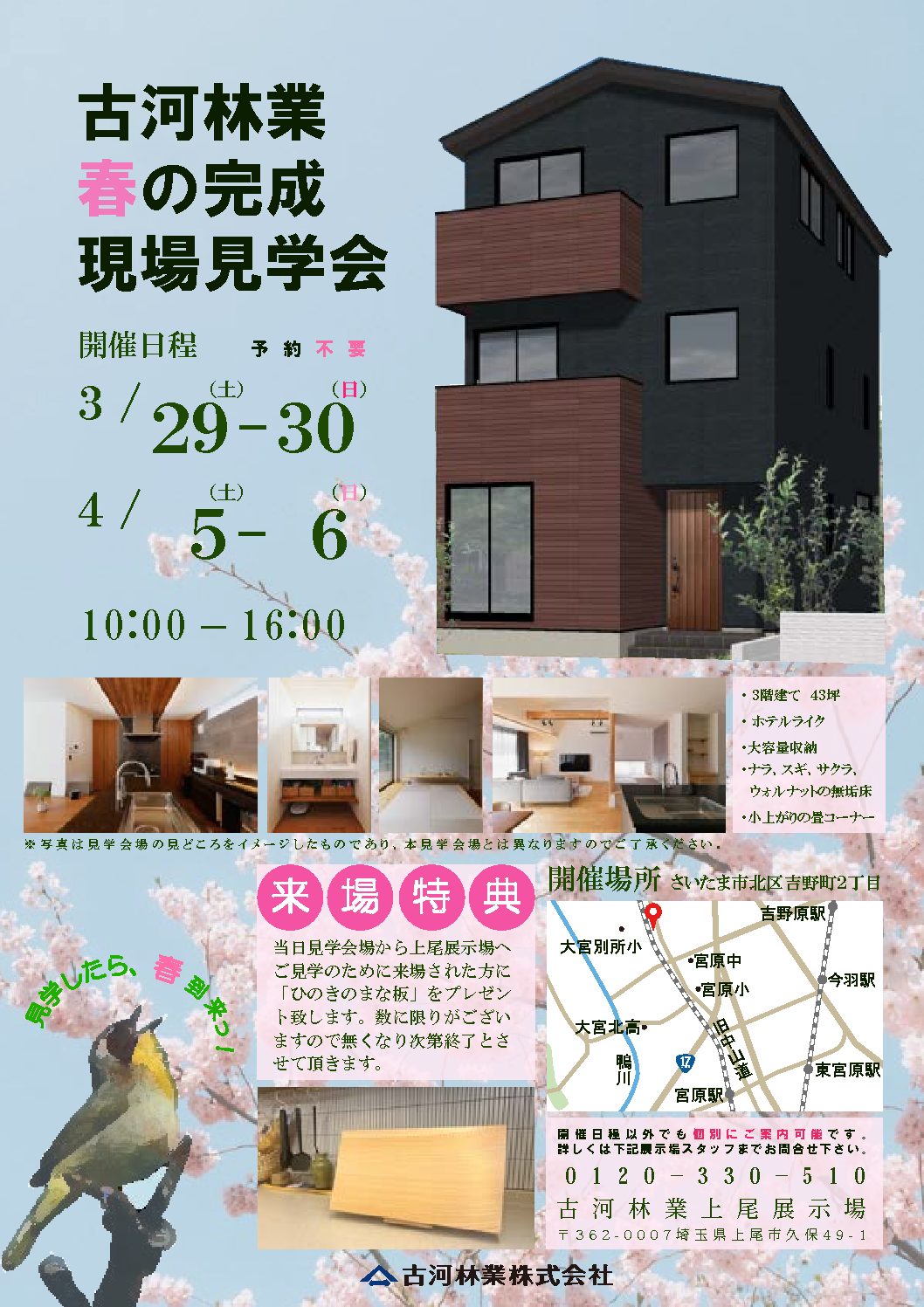 古河林業株式会社 - 春の完成現場見学会、開催します！【上尾展示場】 ㅤㅤ 3月～4月にかけて、上尾展示場近くの完成現場で見学会を開催します ...