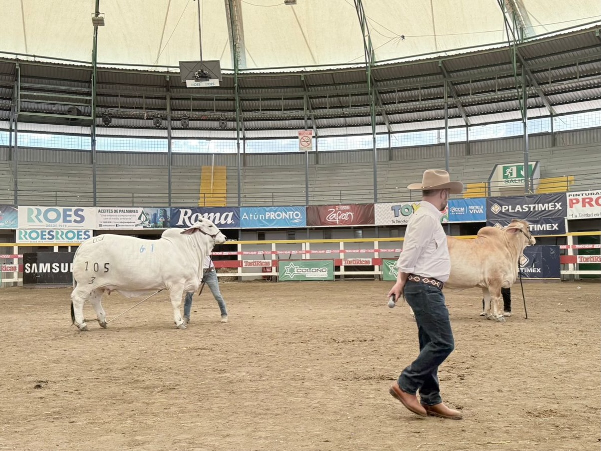 Santa Elena Ranch | Madisonville TX
