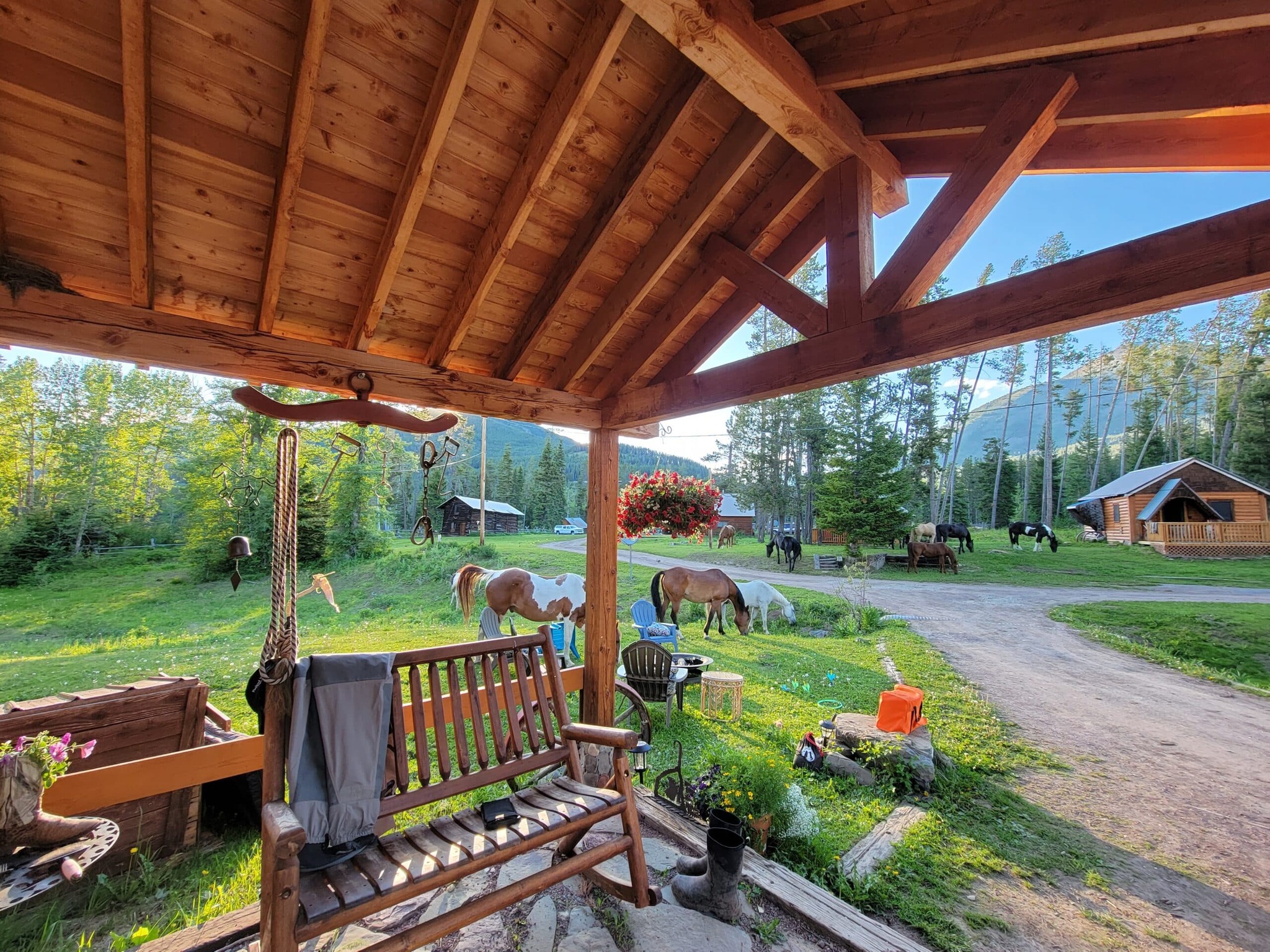 J Bar L Ranch - Looking forward to seeing these guys in a little over a ...
