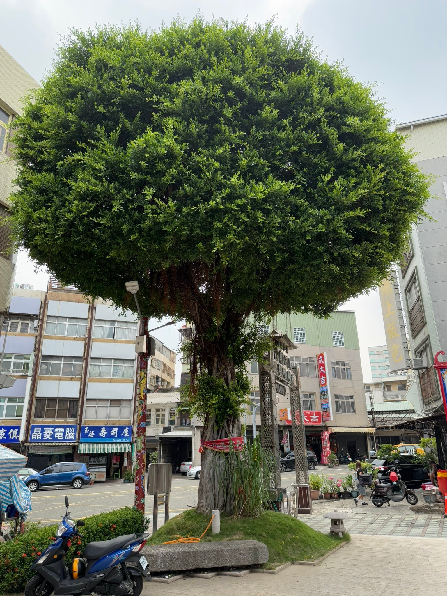 台南廟會神佛介紹站 - 台南廟會神佛介紹站 added a new photo — at 府城六合境馬公廟.