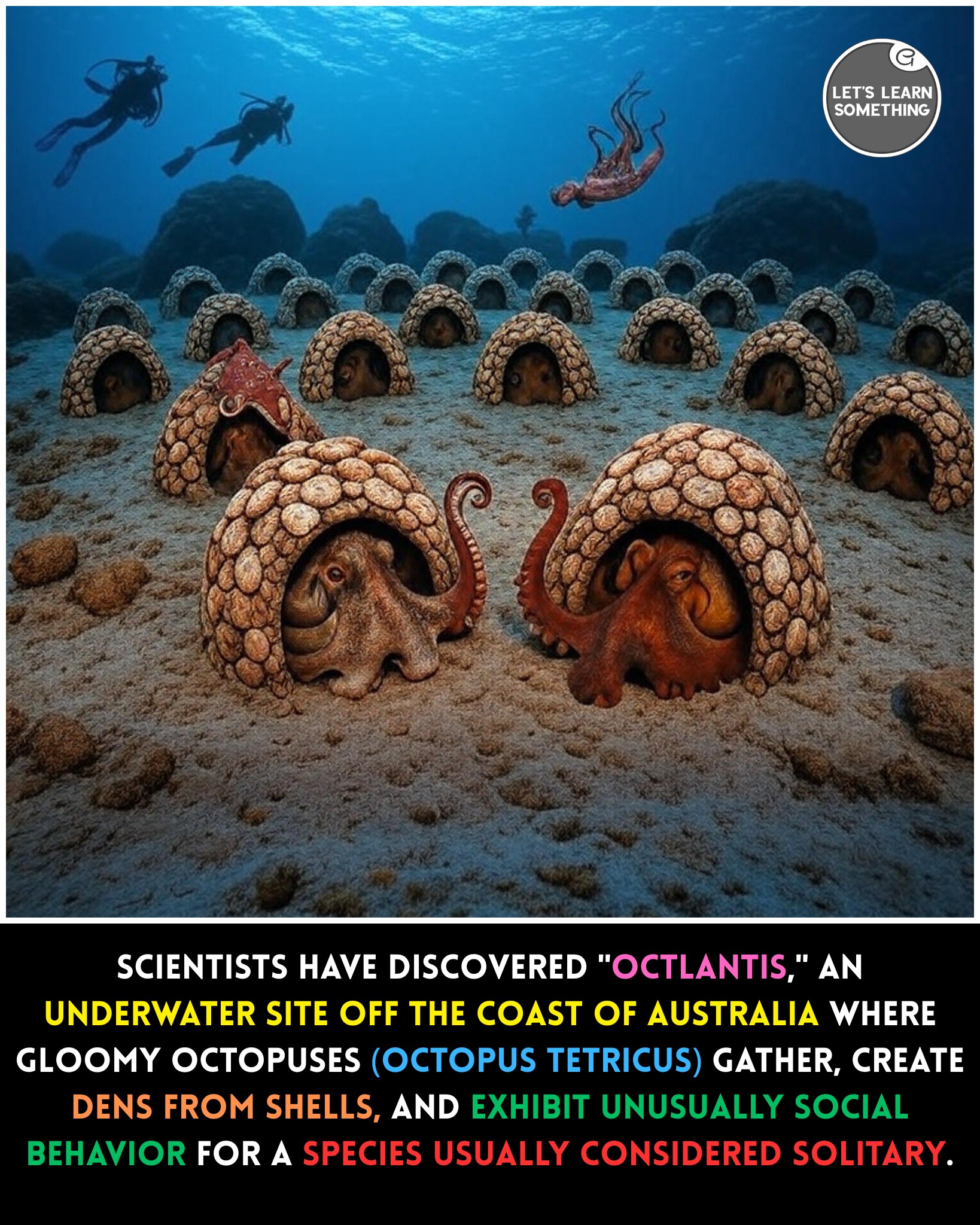 Lets - Scientists have uncovered a remarkable underwater site called ...