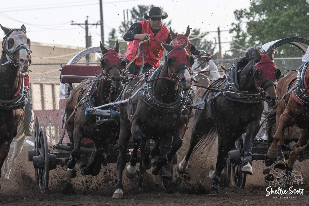 Chanse Vigen Chuckwagon Team