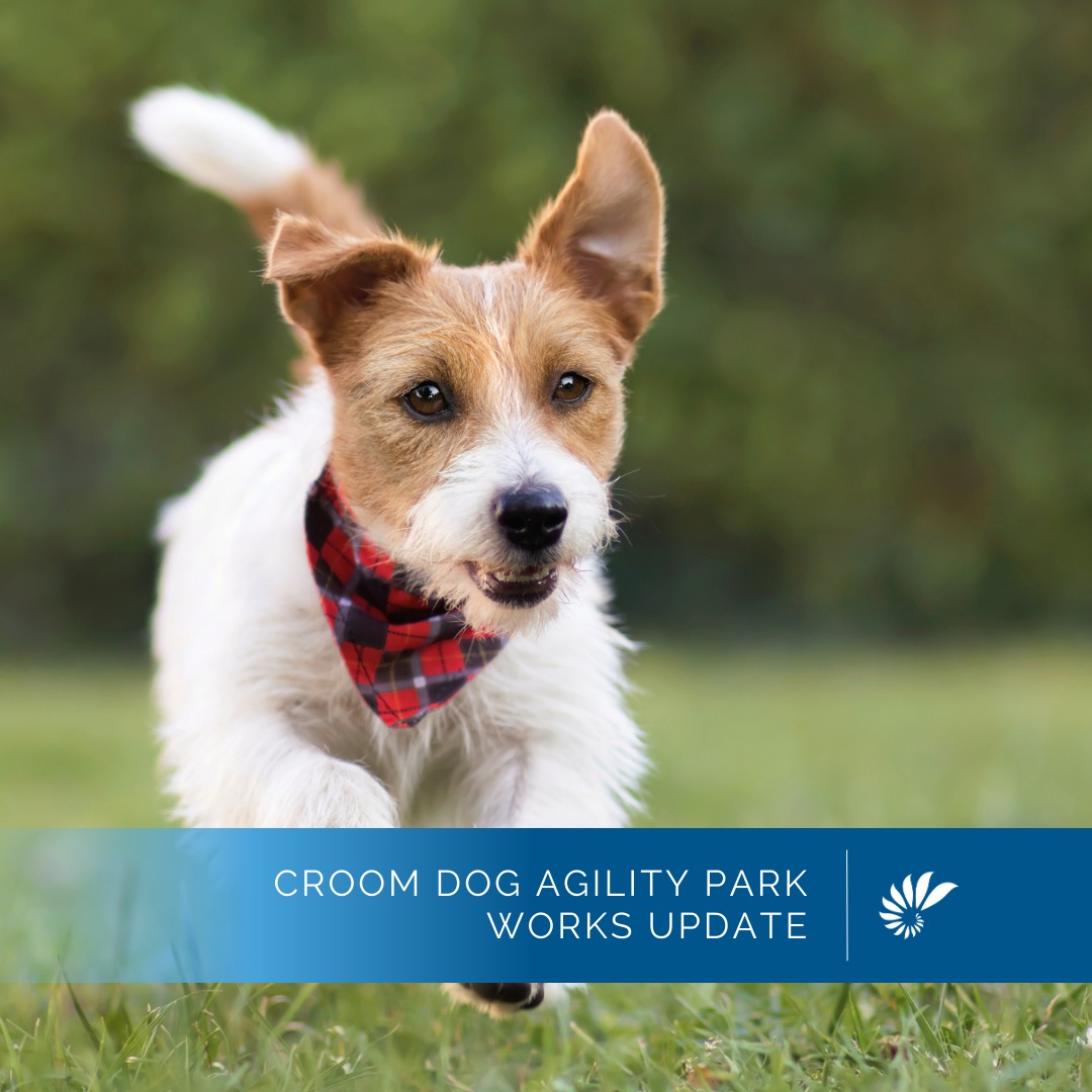 Photo inspiration: Fresh Look at Exciting News Dog Lovers Shellharbour City Council
