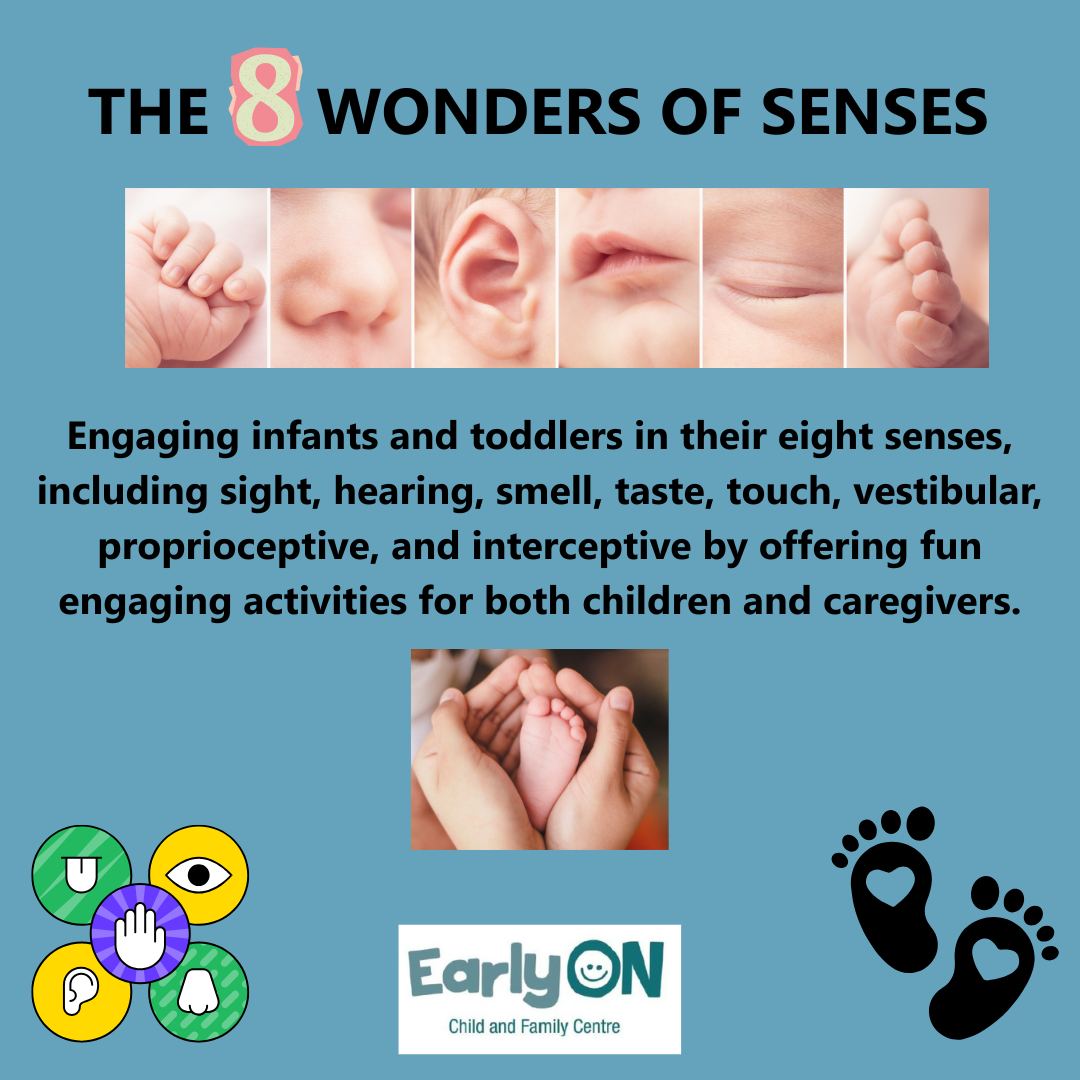 Earlyon - We are excited to be offering our 8 Wonders of Senses program ...
