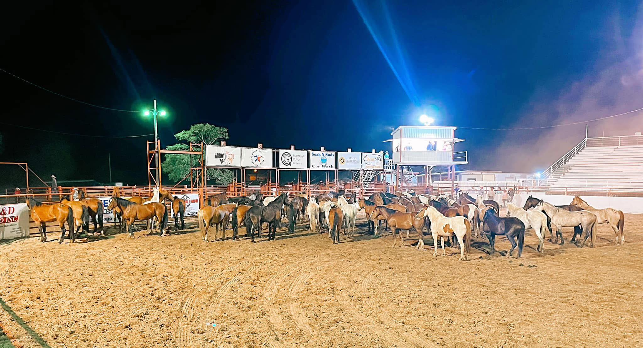 Bar-None Rodeo | Plainview TX