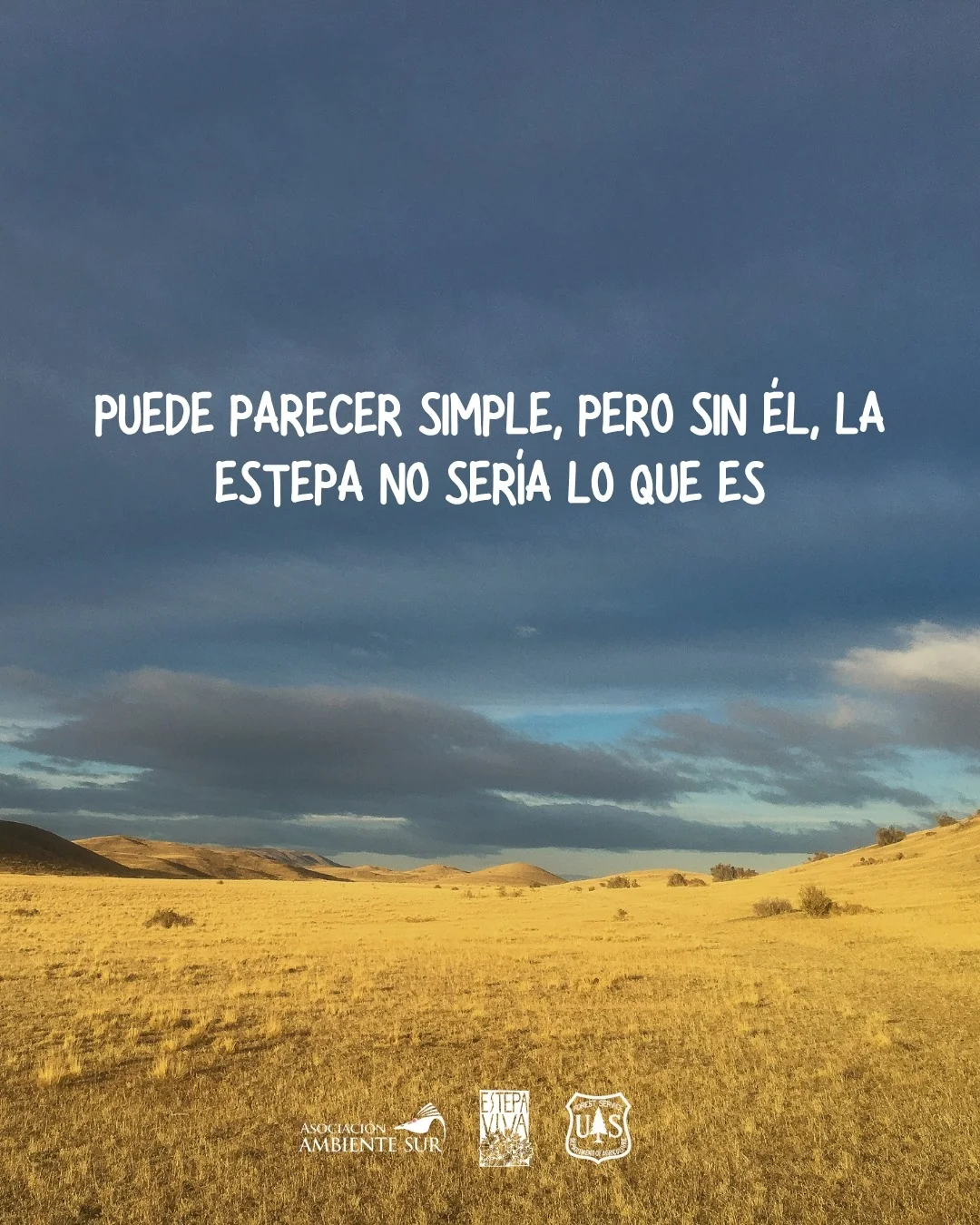Asociación Ambiente Sur added a... - Asociación Ambiente Sur
