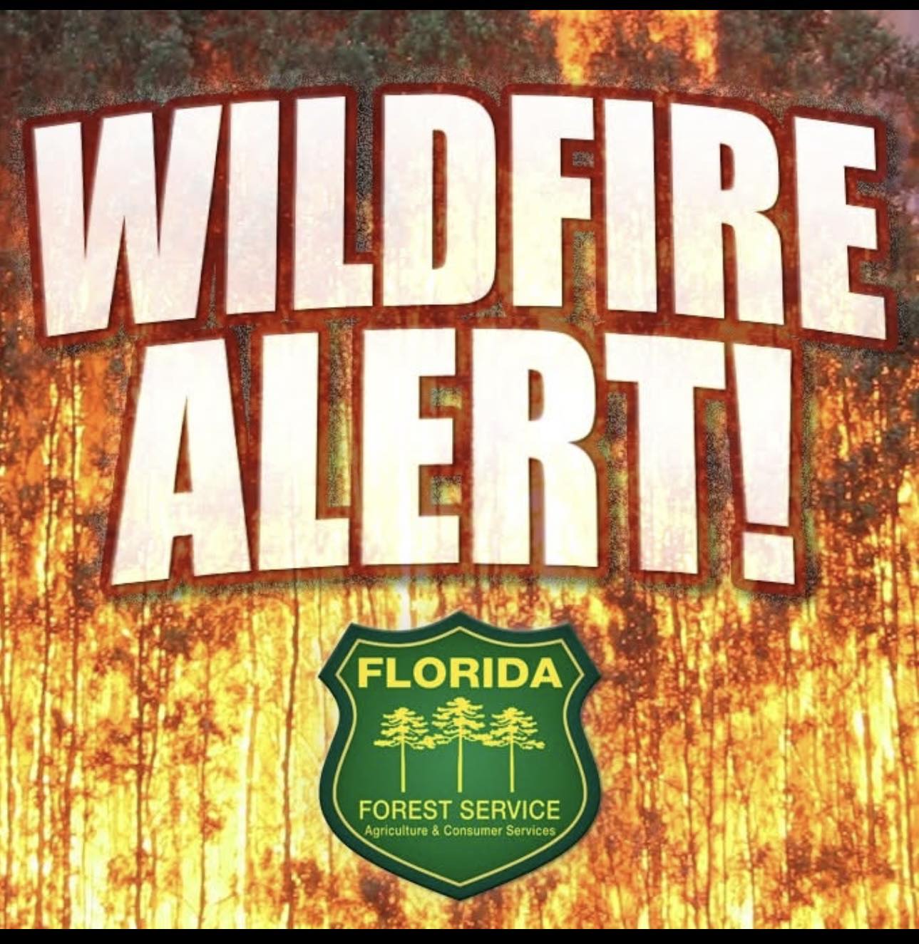 Levy County... - Levy County Department of Public Safety