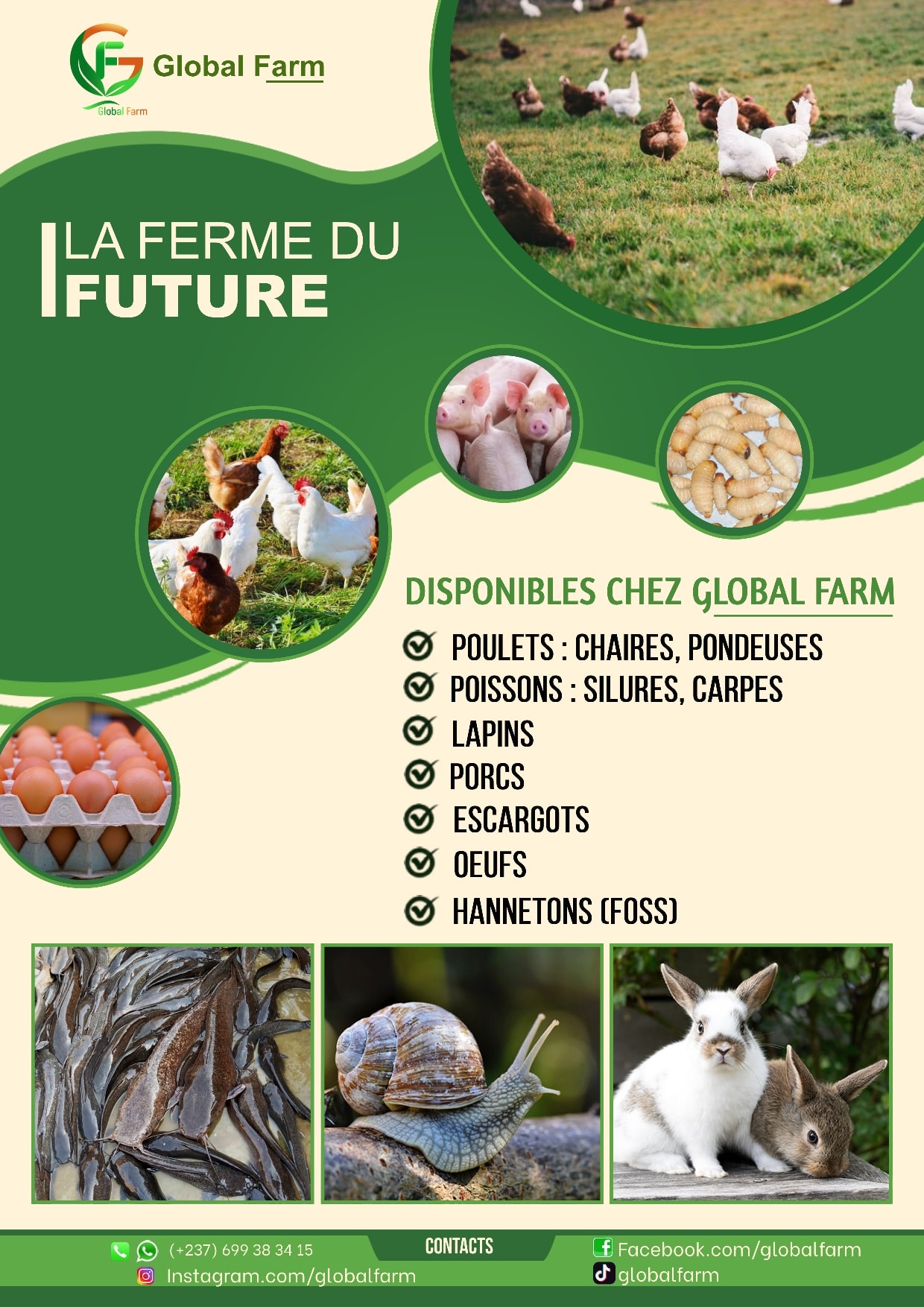Global Farm | Yaoundé
