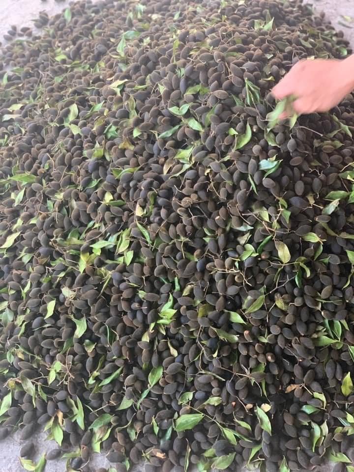 SAY LẮC MUỐI ỚT 🌶 Món ăn... - Yummy Food - Đặc Sản Say Rừng | Facebook