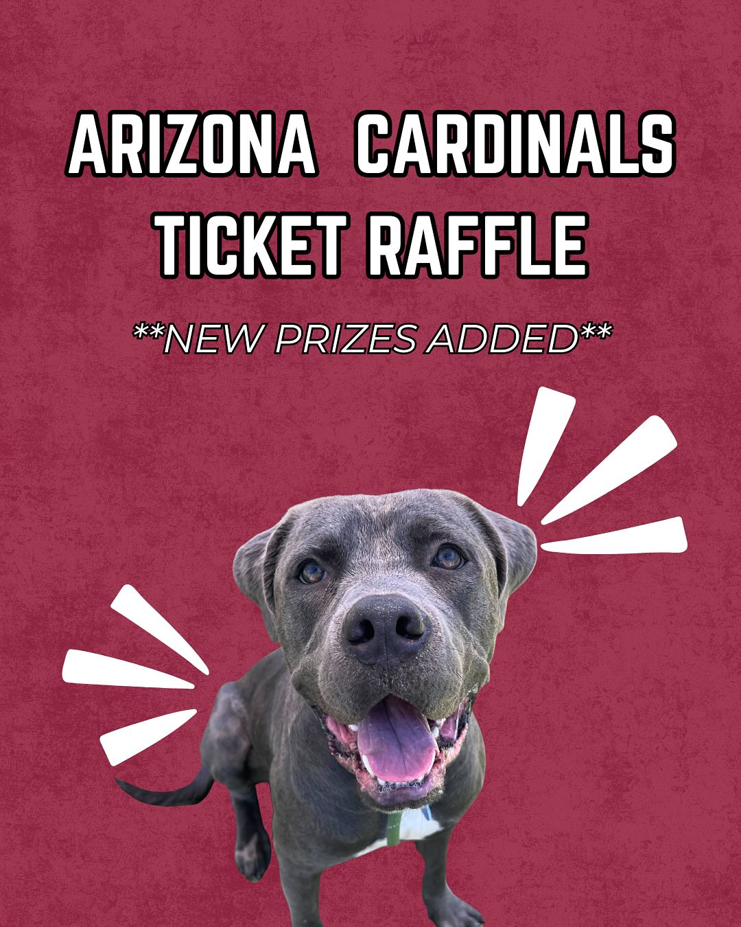 🚨 Did you enter our raffle?... - Alone No More Dog Rescue | Facebook