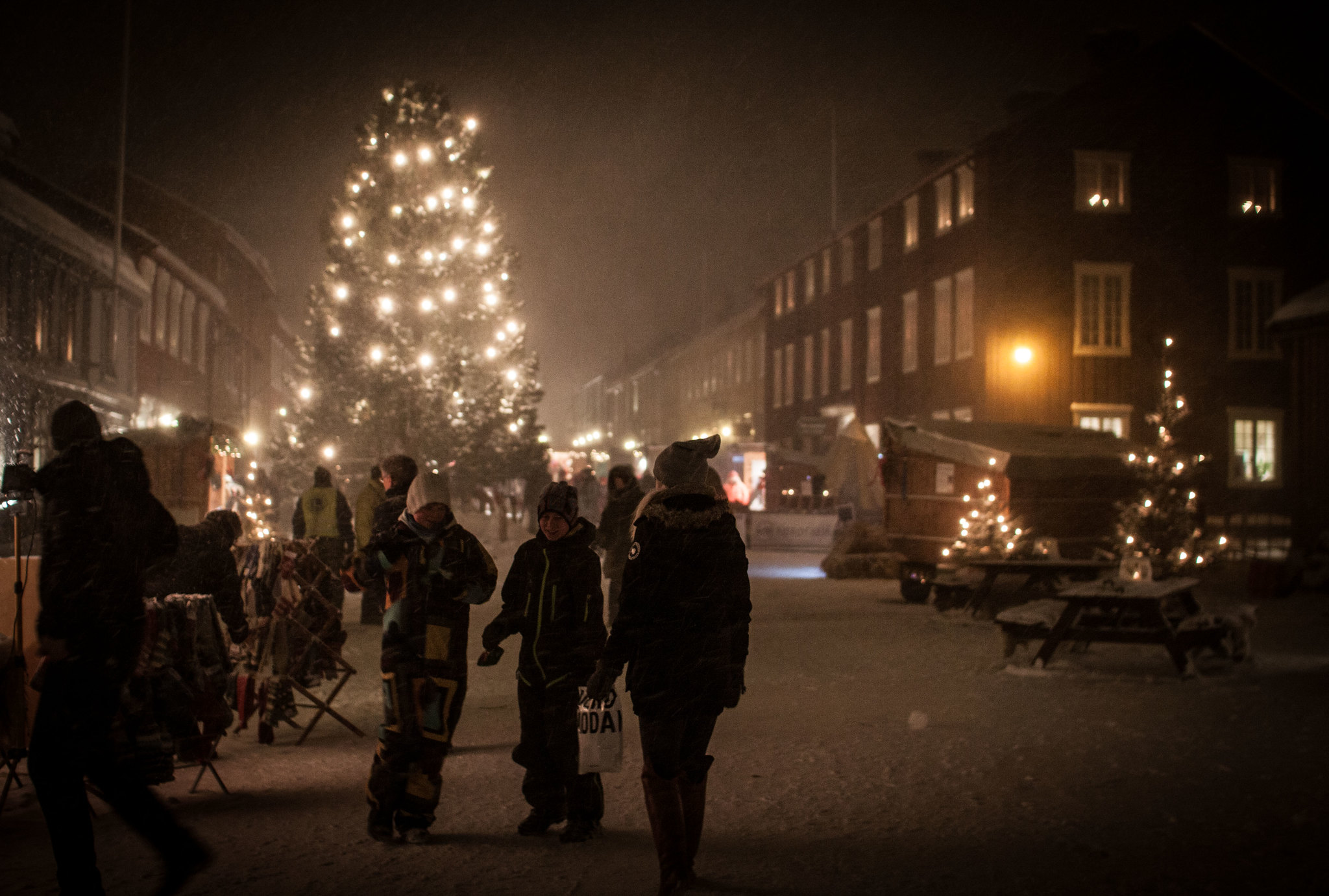 Neas Rørosregionen | Røros