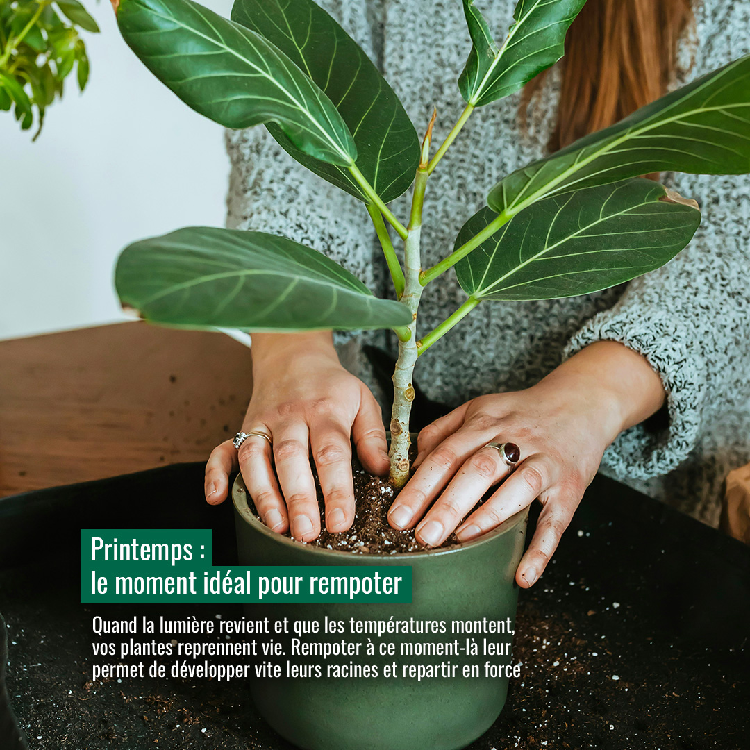 Gamm - Pour avoir la #pêche tout au long de l'année 😉, découvrez tous ...
