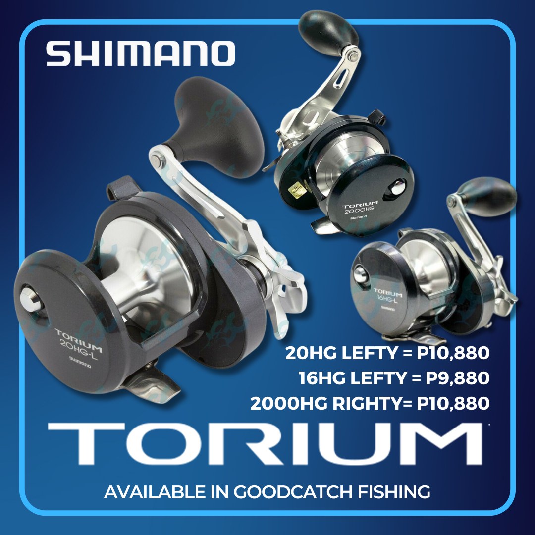 Moulinet Multirouleau Shimano Torium 20HGAL (main Gauche) - Pour Pêche Mer, 6.2:1, 3+1 Roulements
