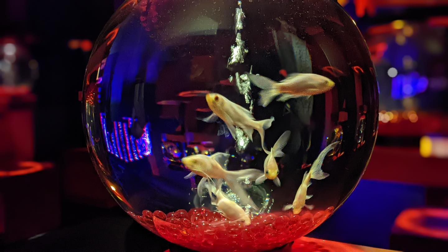 アートアクアリウム美術館