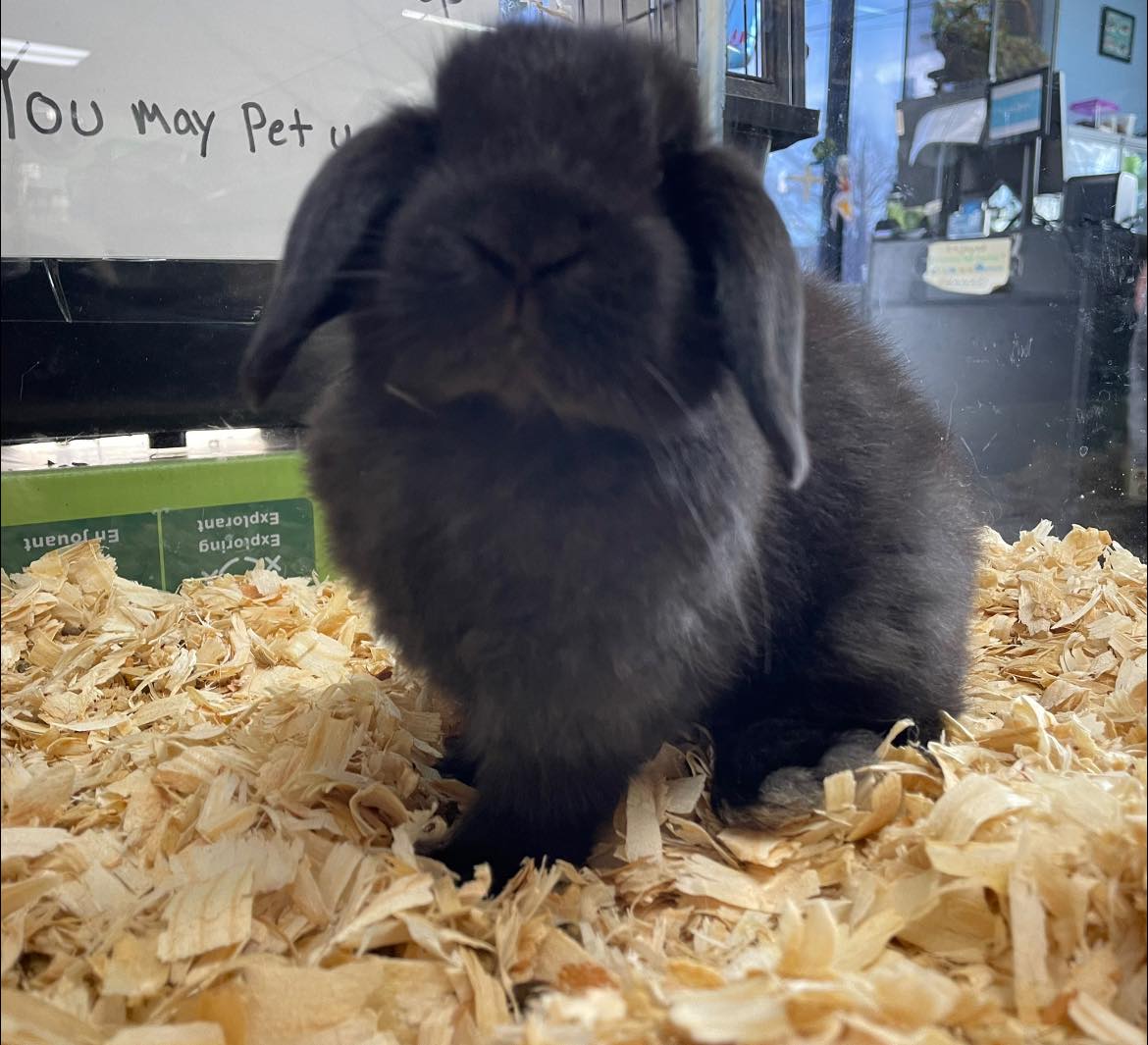 Columbia Pet Center | Columbia MO