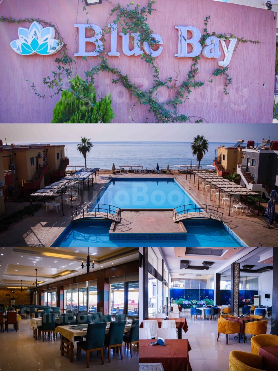 فندق بلوبي _ Blue Bay Hotel | Tartus