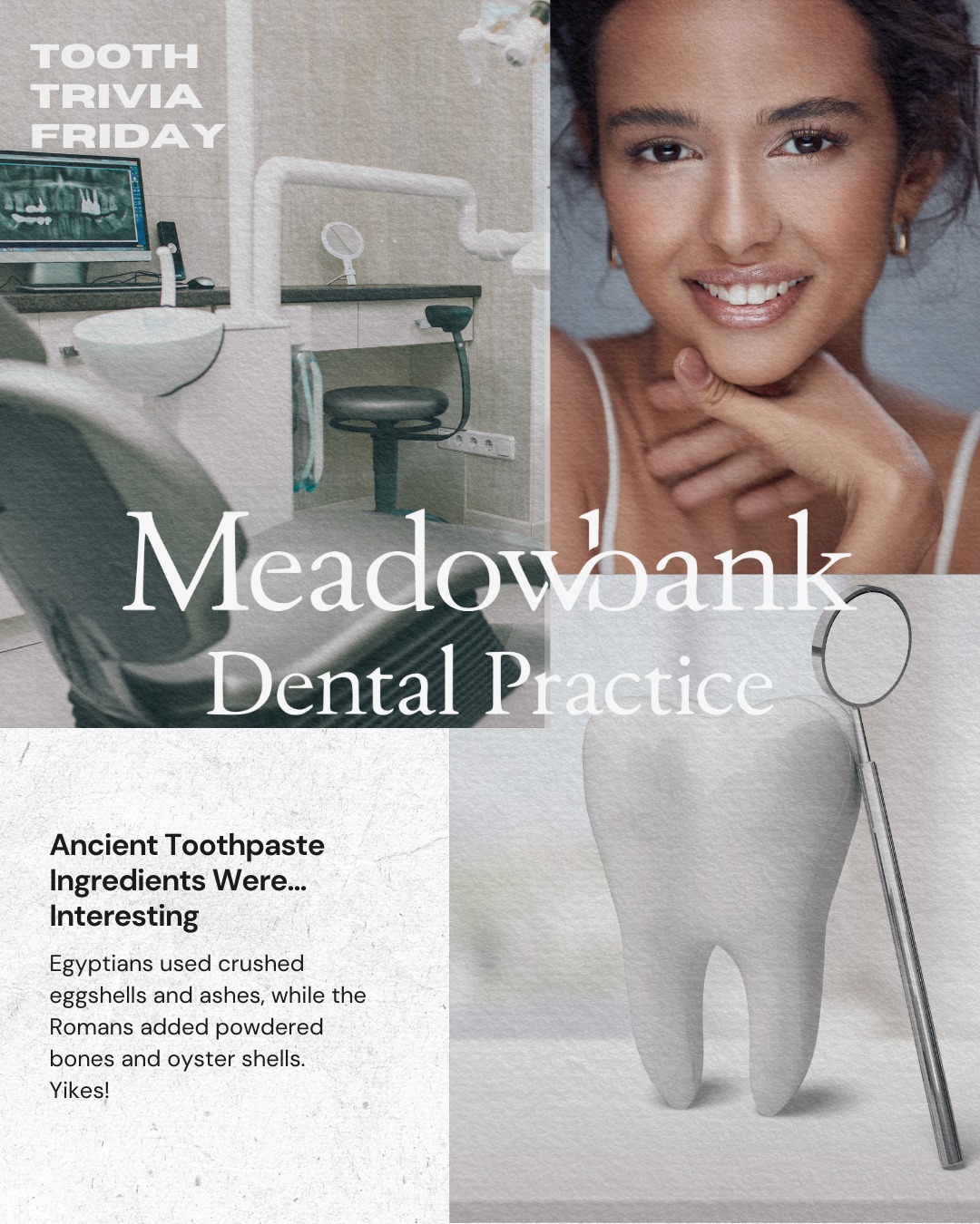 🦷 Tooth Trivia Friday! 🦷... - Meadowbank Dental Practice | Facebook