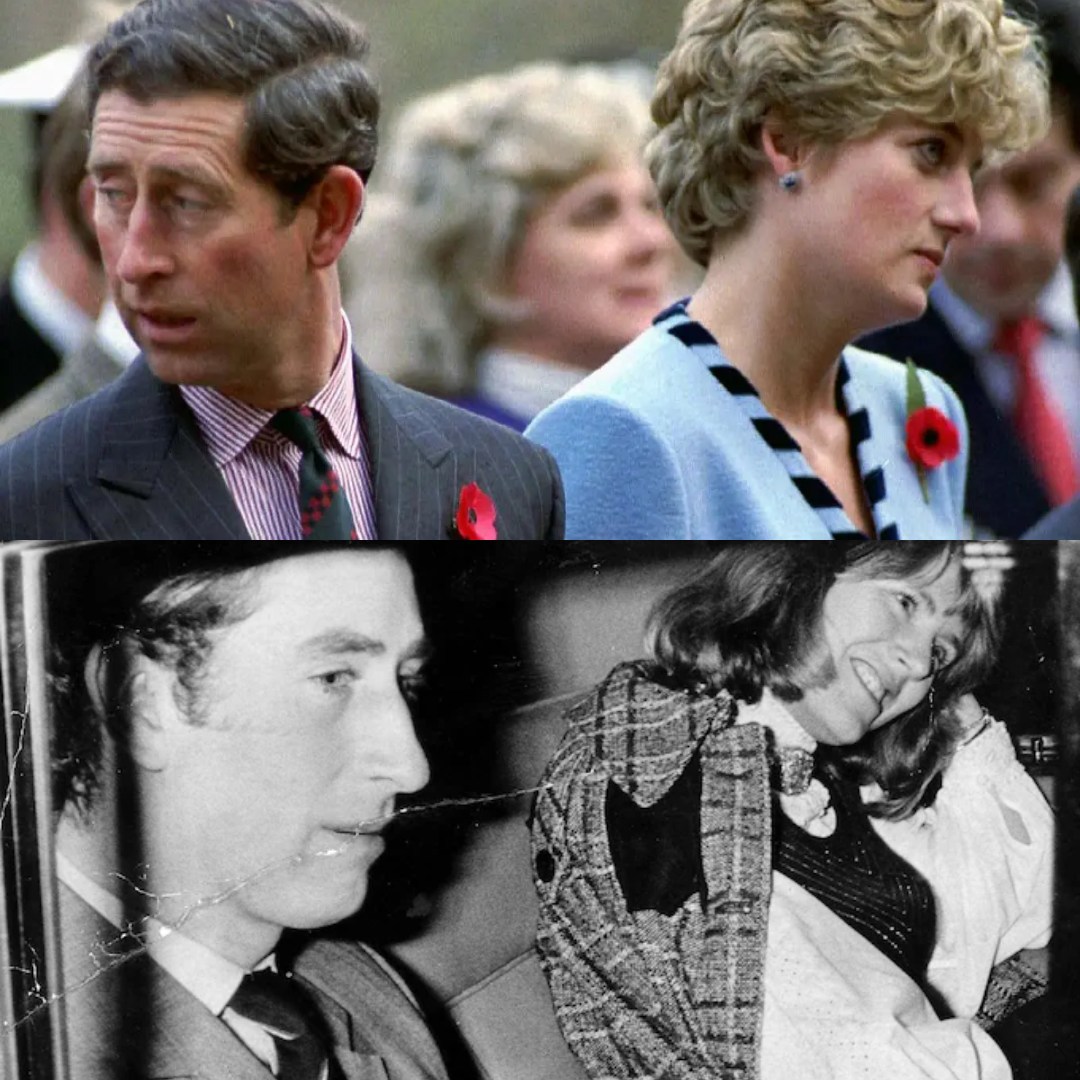 OMYO - Princess Diana’s divorce from King Charles left her with deep ...