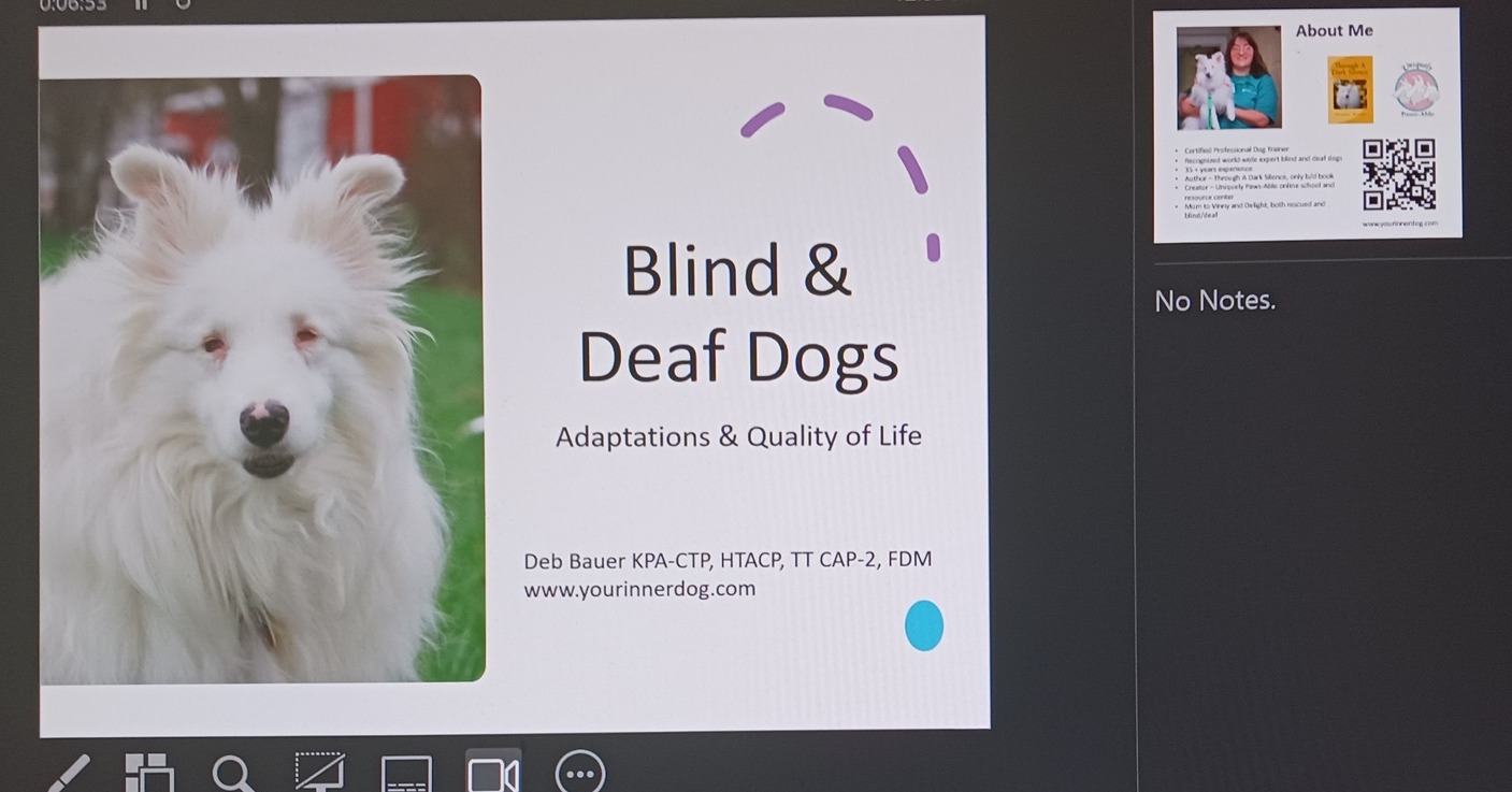 Your Inner Dog