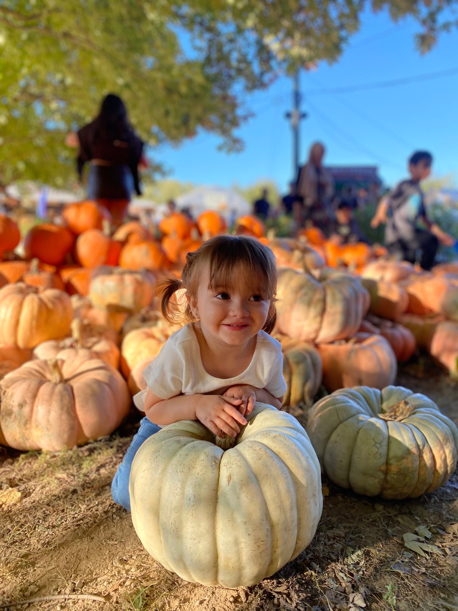 Howells Adventure Farm | Fonthill ON
