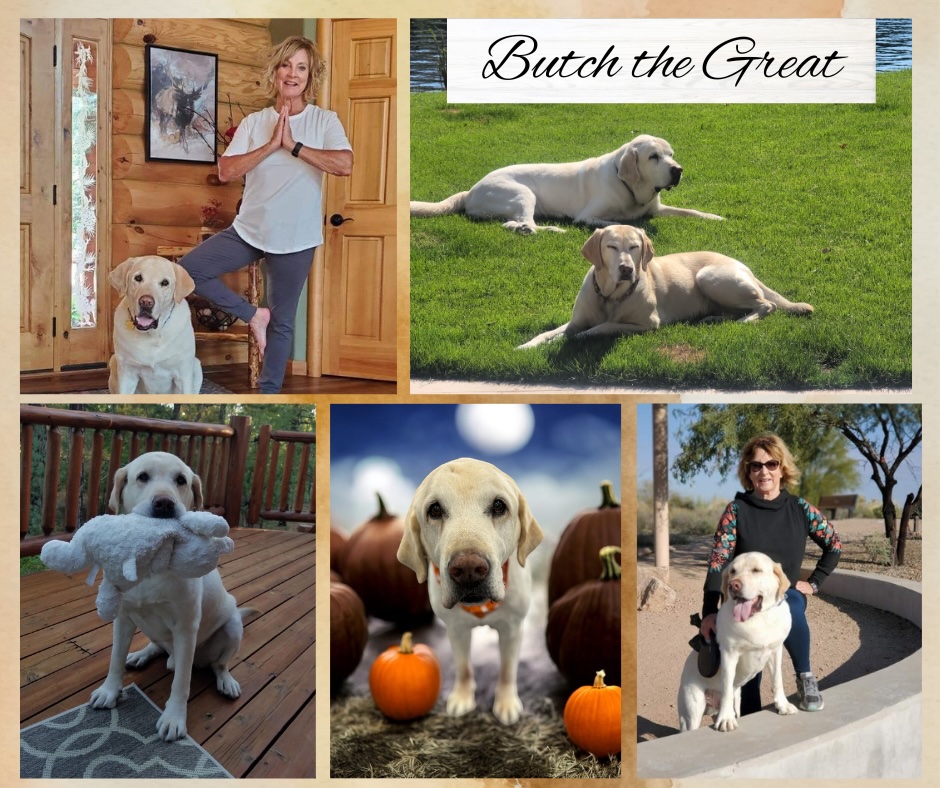 Desert - In Loving Memory of Butch ️ Today, one of our dedicated ...