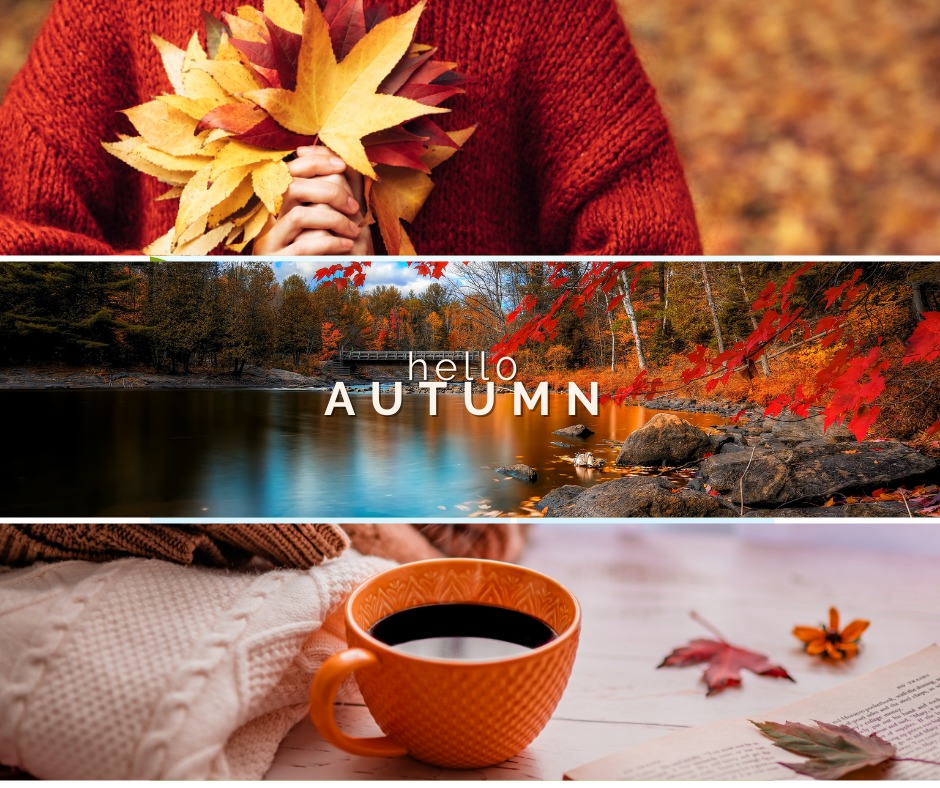 National - Hello, Autumn! 🍂 Fall has officially arrived! As the leaves ...