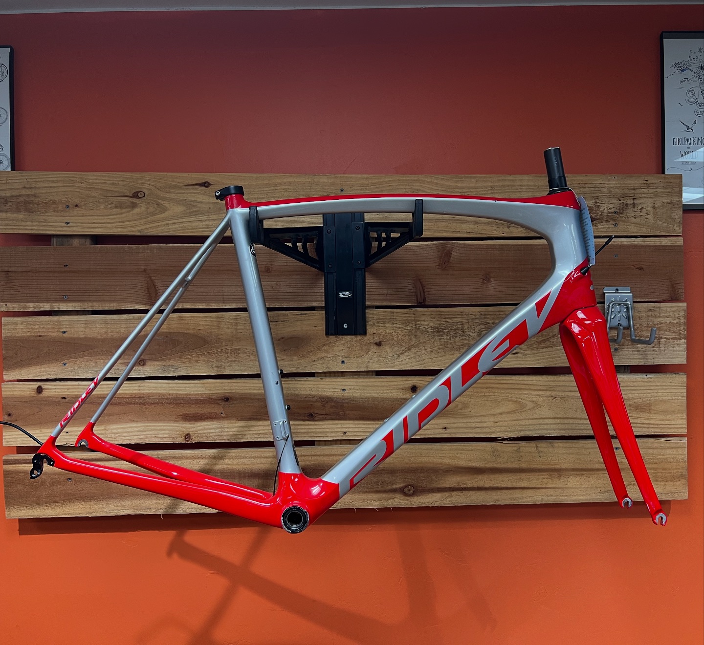 Grizzly - This 56cm Ridley Carbon frame & Fork needs to go! Get ...