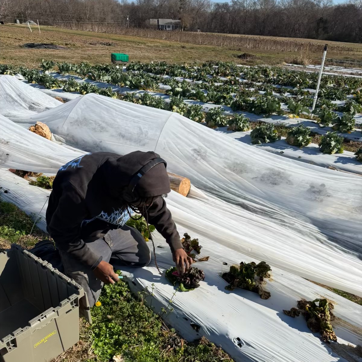 Deep Roots CPS Farm added a new photo. - Deep Roots CPS Farm