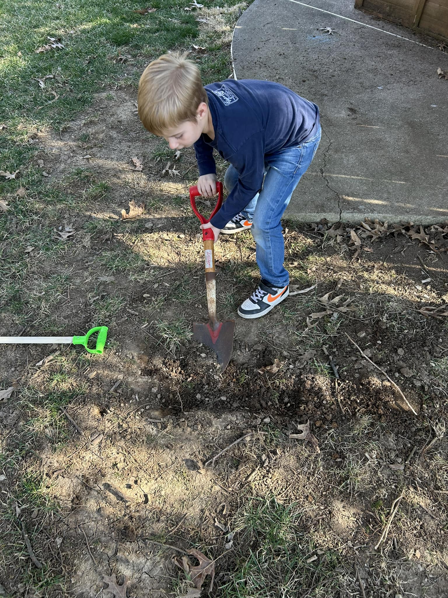 Dingo - I Just asked Colt what he was doing? “Digging for Buried ...
