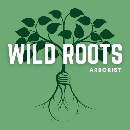Wild Roots Arborist | Fayetteville AR