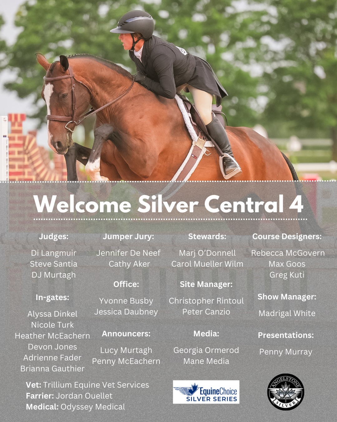 Angelstone Silver Series Equine Choice | Caledon ON