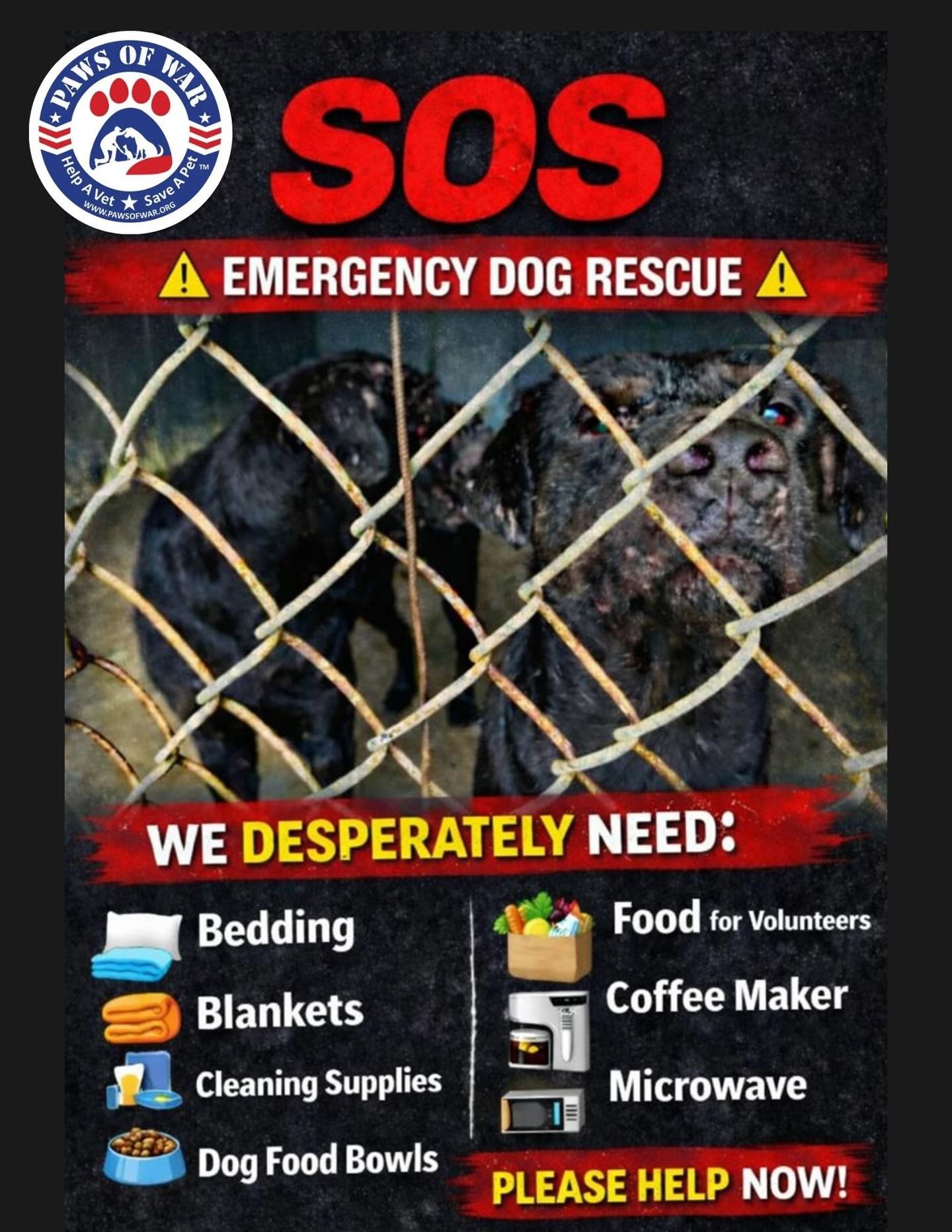 Paws - 🚨 SOS – Emergency Dog Rescue in Mississippi! 🚨 We are on the ...
