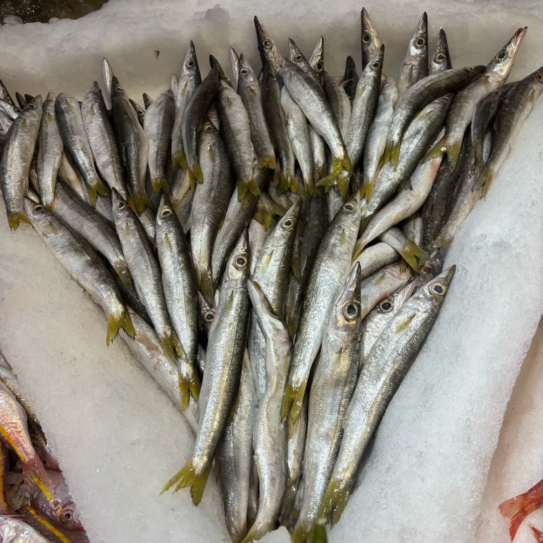 FADI FISH | Beirut