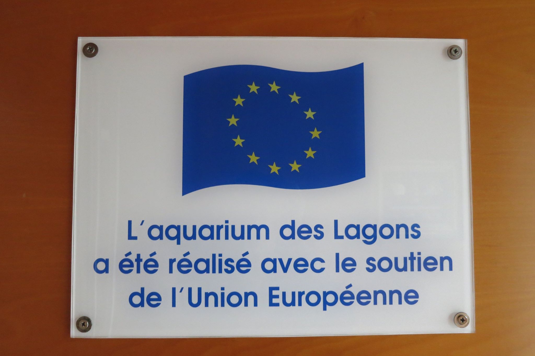 European Union in the... - European Union in the Pacific