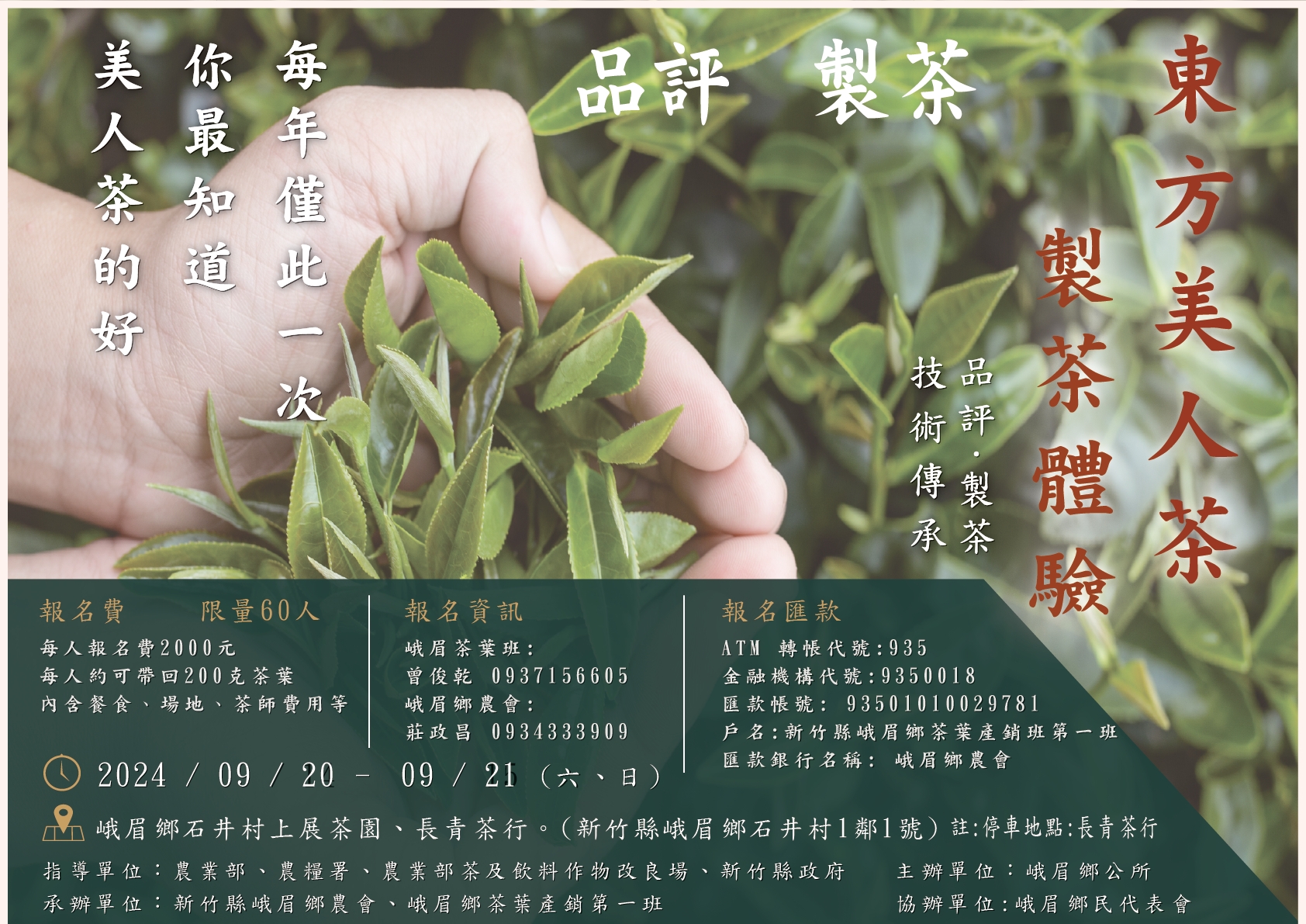 峨眉鄉農會 - 🌟 2025新竹縣峨眉東方美人茶製茶體驗營報名開始！🌟... | Facebook